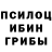 Псилоцибиновые грибы ЛСД ismail Akcay